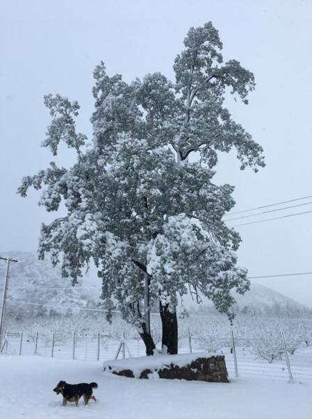Posada Del Jinete San José de Maipo Dış mekan fotoğraf